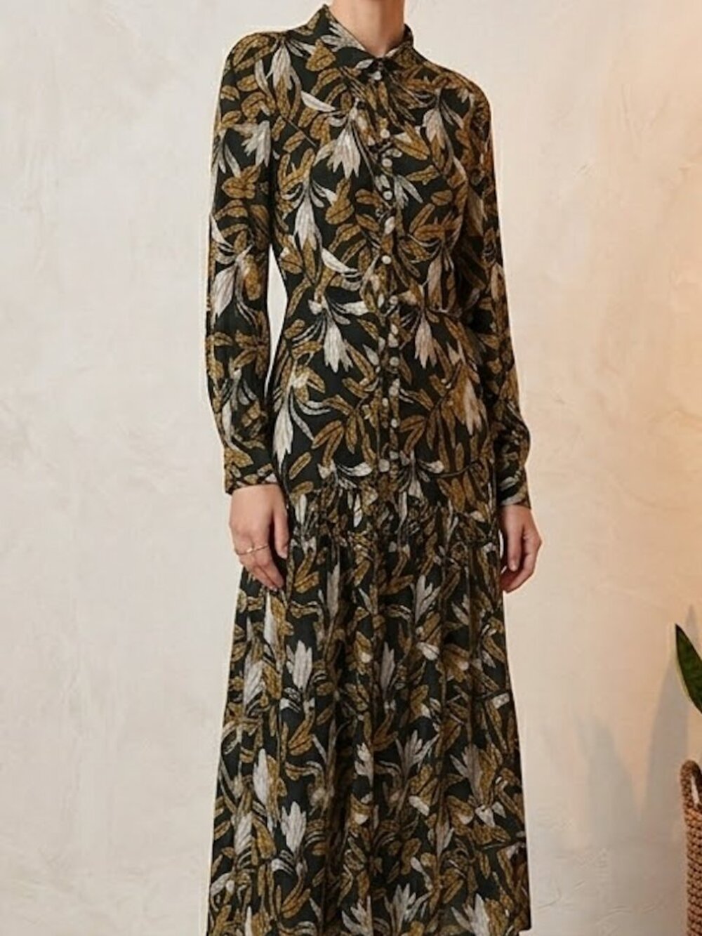 Dress or kimono